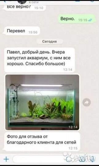 Аквариумы в наличии и на заказ