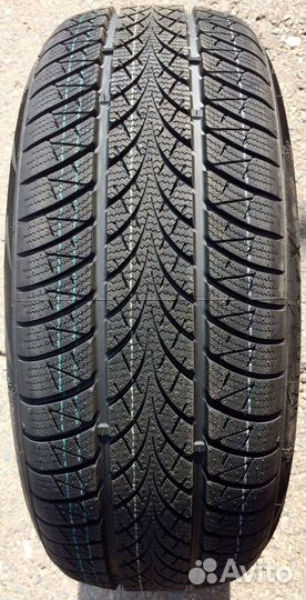 Triangle WinterX TW401 205/55 R17 95V