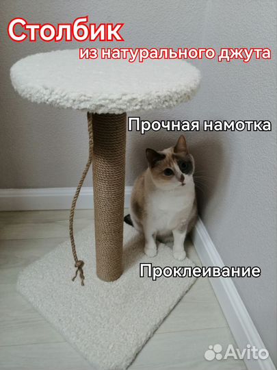 Когтеточка