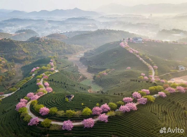 Загрантур в Китай на 6 дн