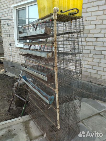 Клетки для перепелов бу