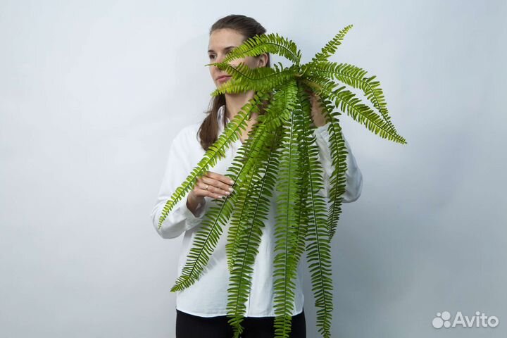 Папоротник искусственный ампельный свисающий