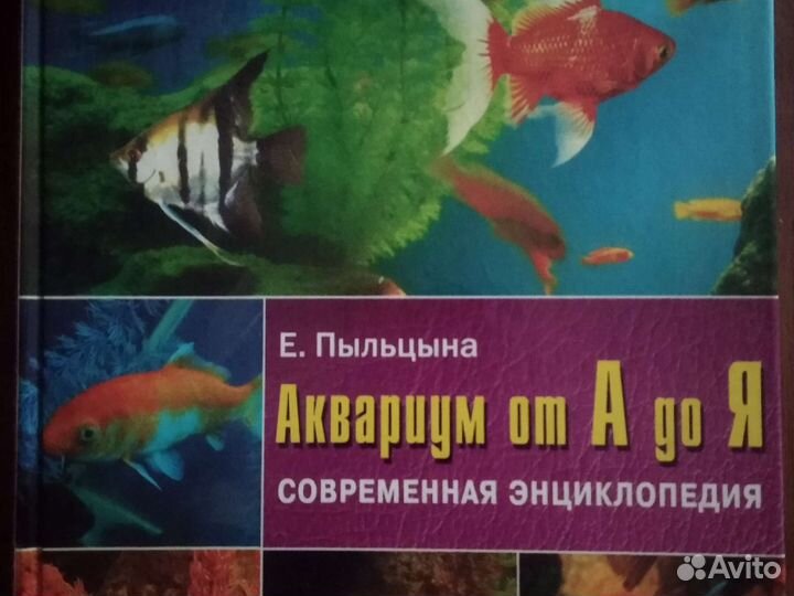 Энциклопедия 