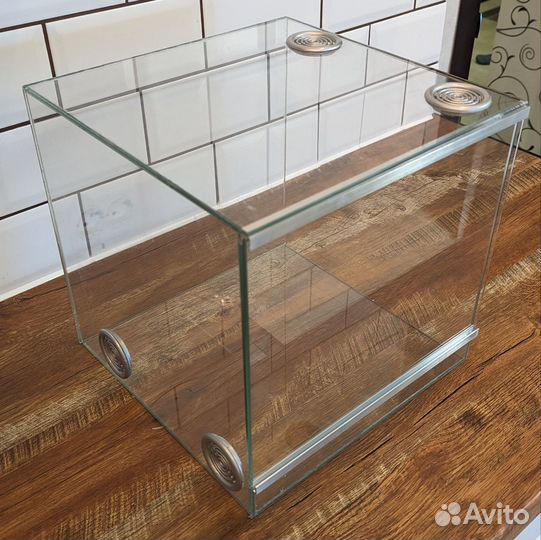 Террариум, паучатник