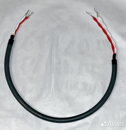 Kondo Avocado 60см