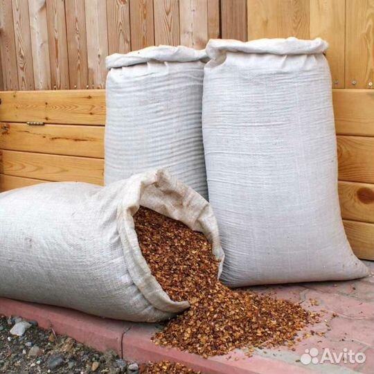 Скорлупа кедрового ореха