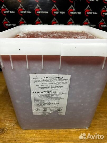 Красная Икра Кеты 2023г оптом без посредников