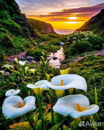 Алмазная мозаика 40x50 Поляна калл с видом на море