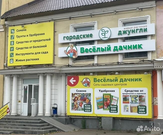 Мюлетбекия