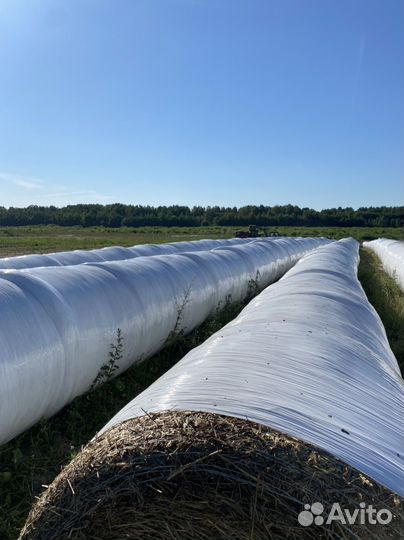 Консультирование в сфере мясного животноводства