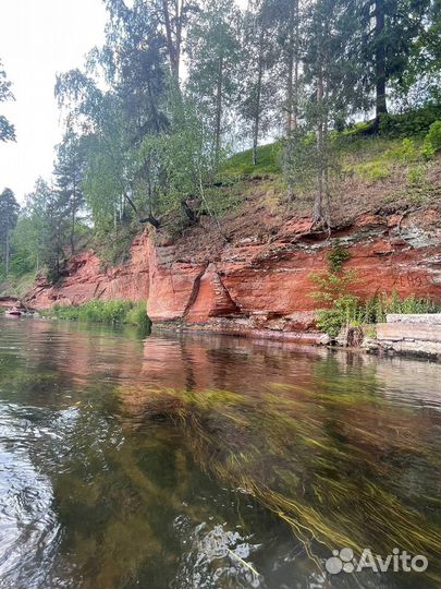 Сап-тур по реке Оредеж