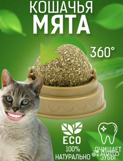 Кошачья мята шарик на стену