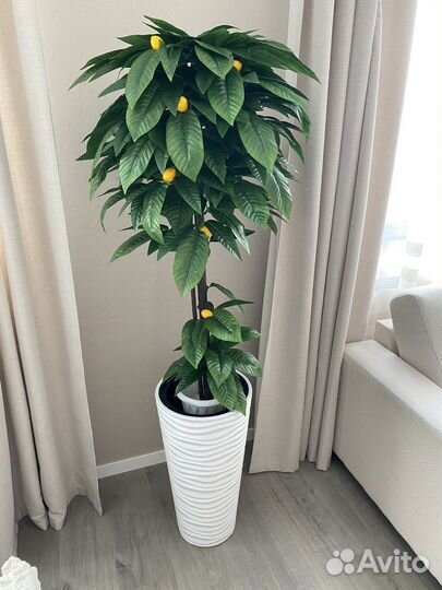 Искусственные растения и деревья