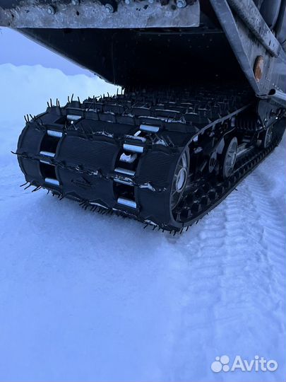 Рысь 440