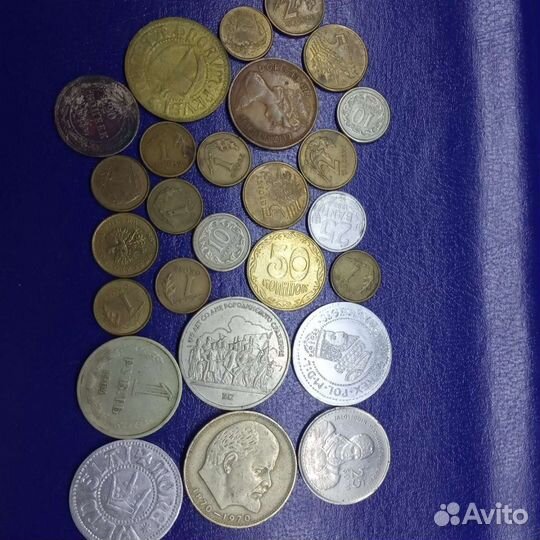 Коллекция