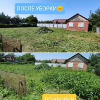Спил деревьев, покос травы, расчистка участков, Краснодар