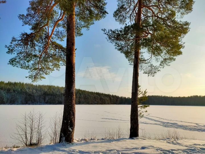 Коттедж 50 м² на участке 2 га