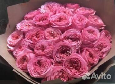 Букет роз 51 роза розы с доставкой 25 роз 101 роза