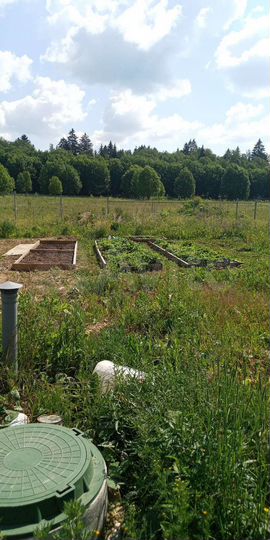 Участок 3 га (СНТ, ДНП)