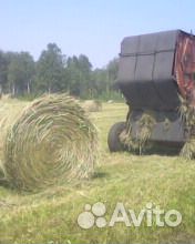 Луговое сено 350кг, Солома