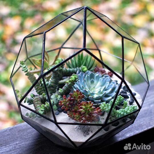 Флорариум. Флорариумы с суккулентами в спб и ло