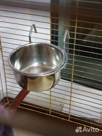 Домик стенд корм кормушка игрушки жердочки