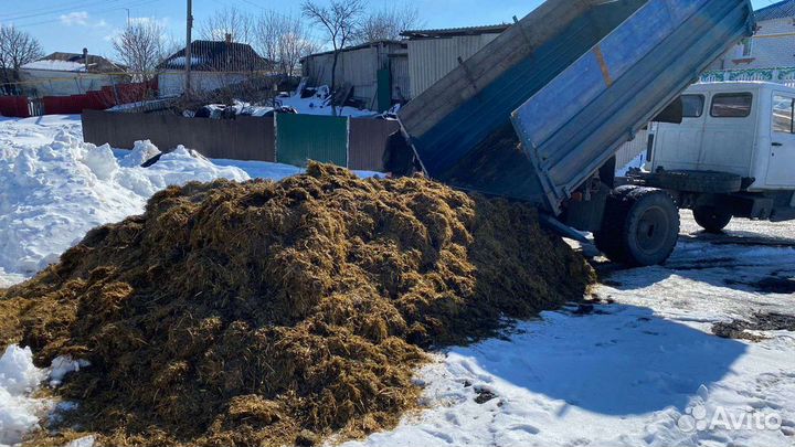 Силос Сенаж сено в тюках с доставкой