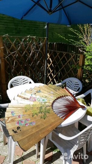 Веер дерево германия красота