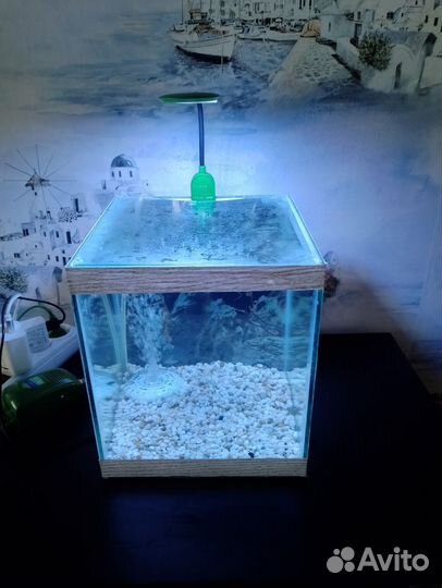 Аквариум со всем что внутри