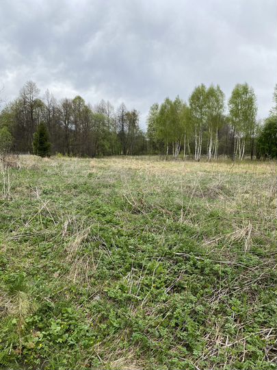 Участок 25 сот. (ИЖС)