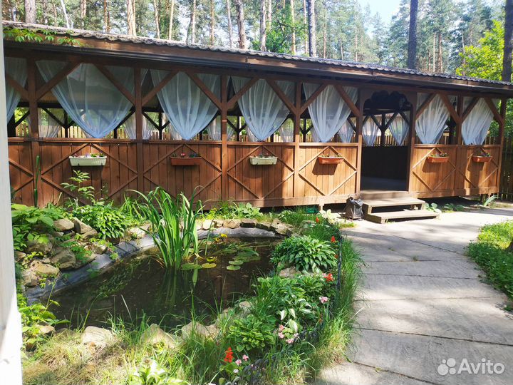 Беседки в сосновом лесу от 6-100 чел