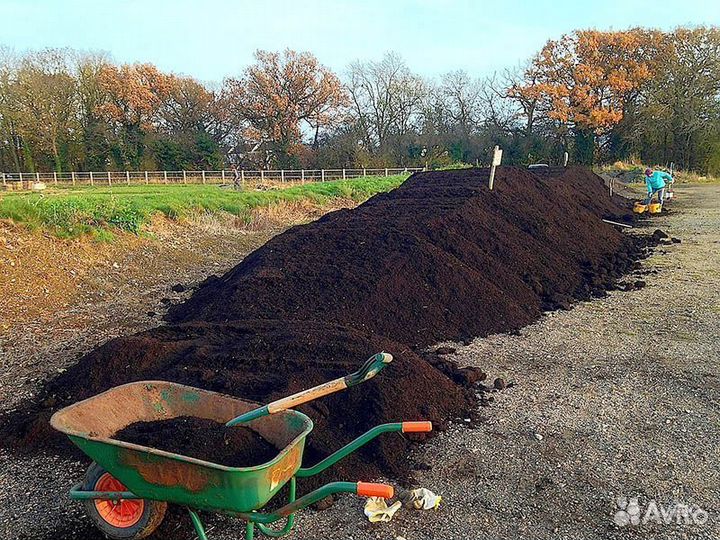 Черная земля