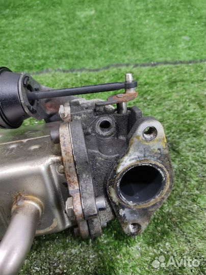 Радиатор системы EGR Ssangyong Actyon NEW (CK) 20