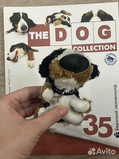 Бернский зенненхунд The Dog Collection