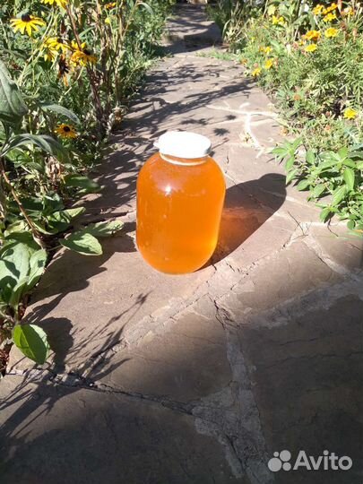 Мед