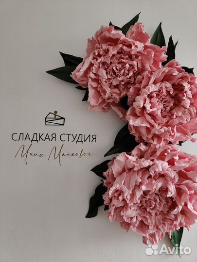 Ростовые тюльпаны