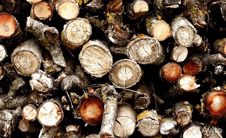 Дрова для камина