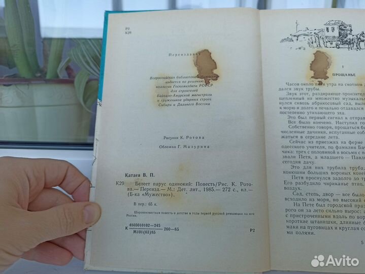 Книга Валентин Катаев Белеет парус одинокий