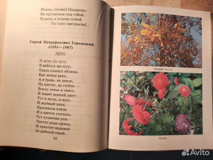 Учебное пособие для написания сочинений(2-4класс)