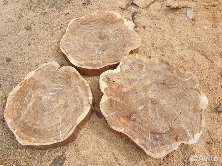 Слеб (Спилы Вяза)