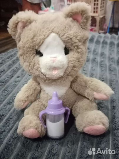 Интерактивный котик