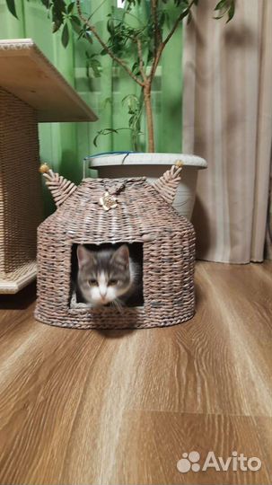 Домик для кошки