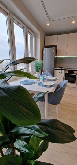 1-к. квартира, 42 м², 25/25 эт.