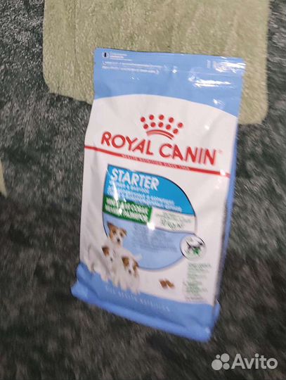 Корм для собак royal canin Starter, Papik