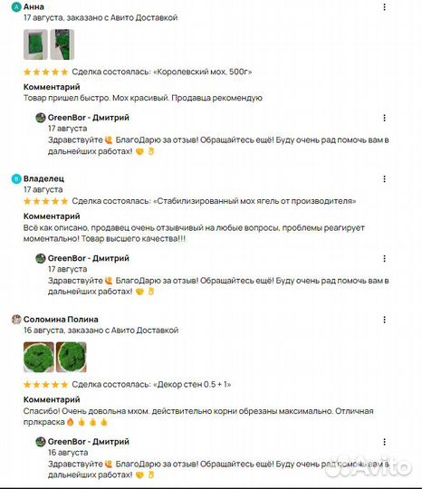 Вечно зеленый мох для интерьерных работ