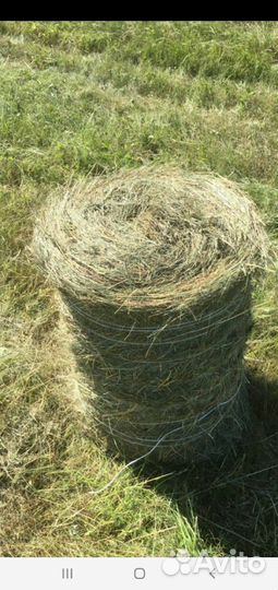 Продам сено мини рулонах