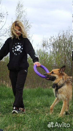 Услуги кинолога