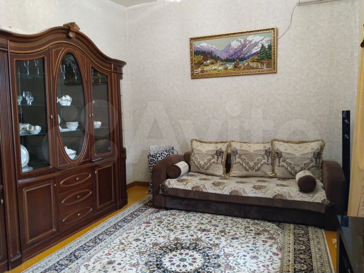 Дом 55 м² на участке 55 сот.