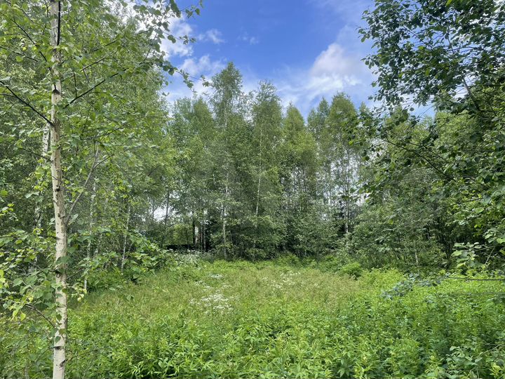 Участок 13,2 сот. (СНТ, ДНП)