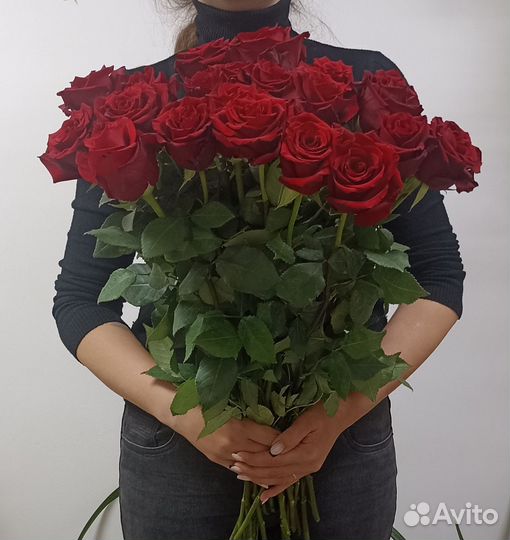 Роза Эквадор 60 см